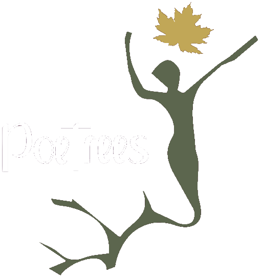 logo-white-text-transparent-512x543