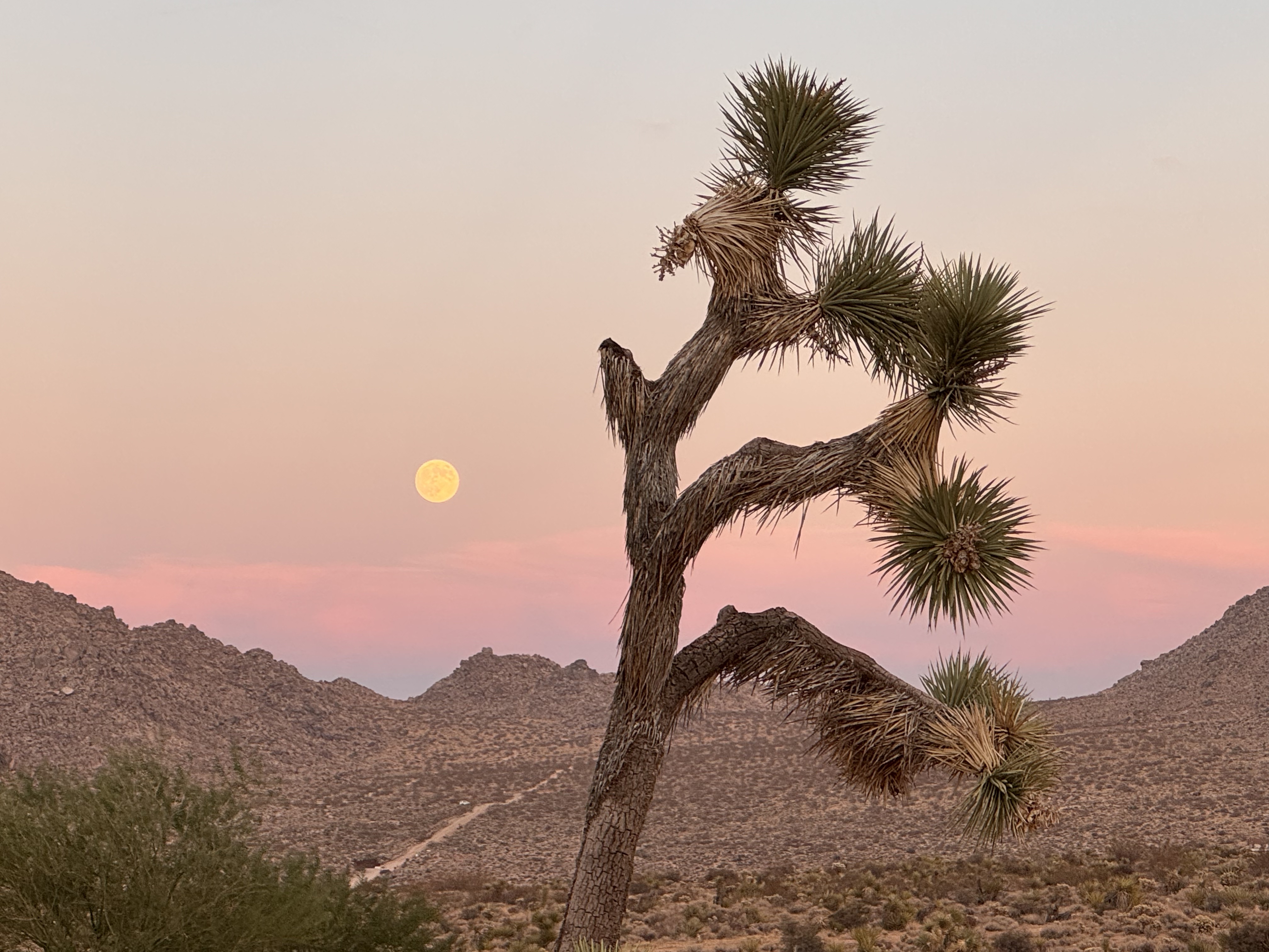 I see every high noon, every sunset, every sunrise.